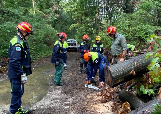 Esercitazioni di Protezione Civile nel Parco delle Groane