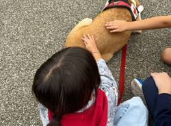 Eva ed Emma tornano a scuola a Legnano per il progetto "Pet therapy"