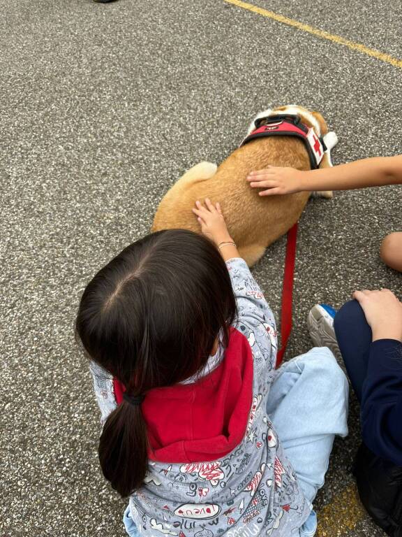 Eva ed Emma tornano a scuola a Legnano per il progetto "Pet therapy"