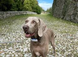 Francesca Ferragni e famiglia al Sacro Monte