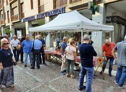 Idee in corso, Saronno