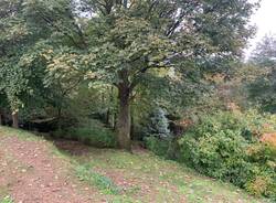 Il terreno donato a Casciago che diventerà un parco
