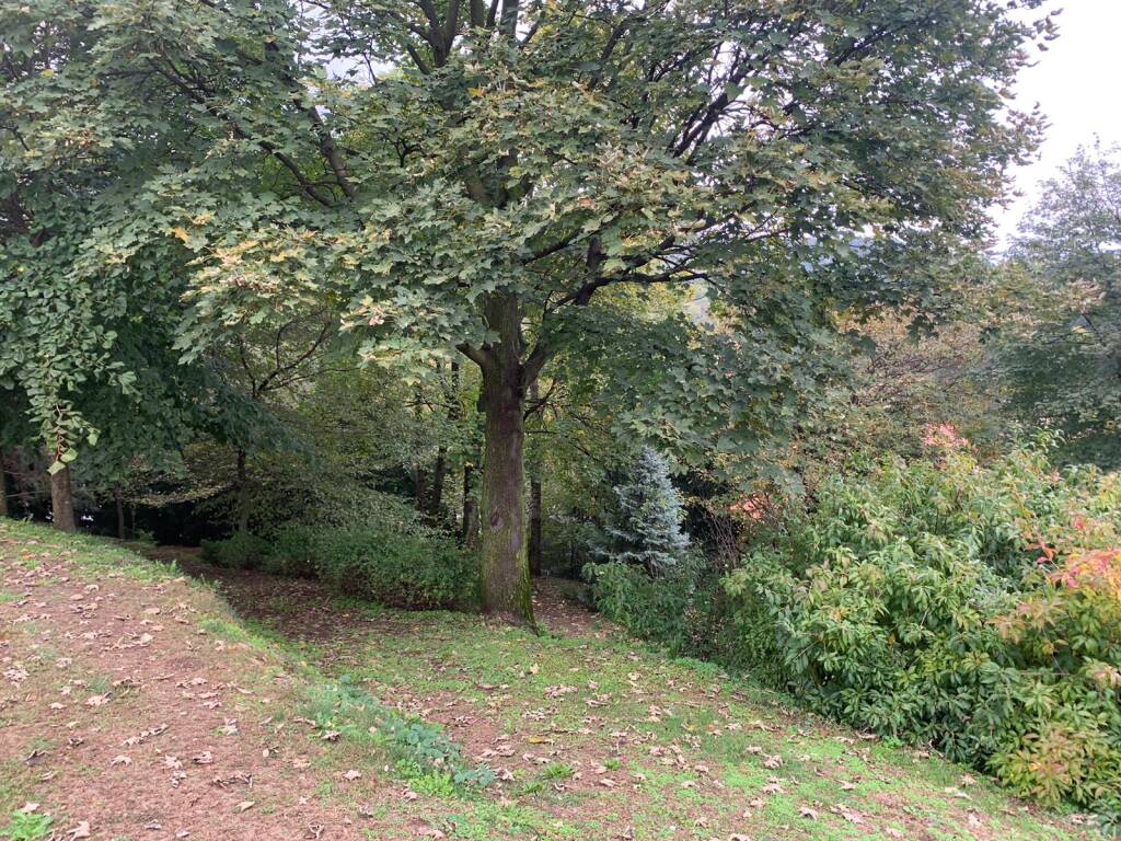 Il terreno donato a Casciago che diventerà un parco