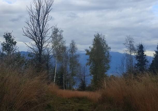 L'autunno nel bosco di Montegrino