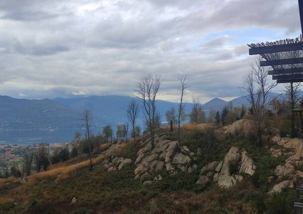 I colori dell’autunno a Montegrino