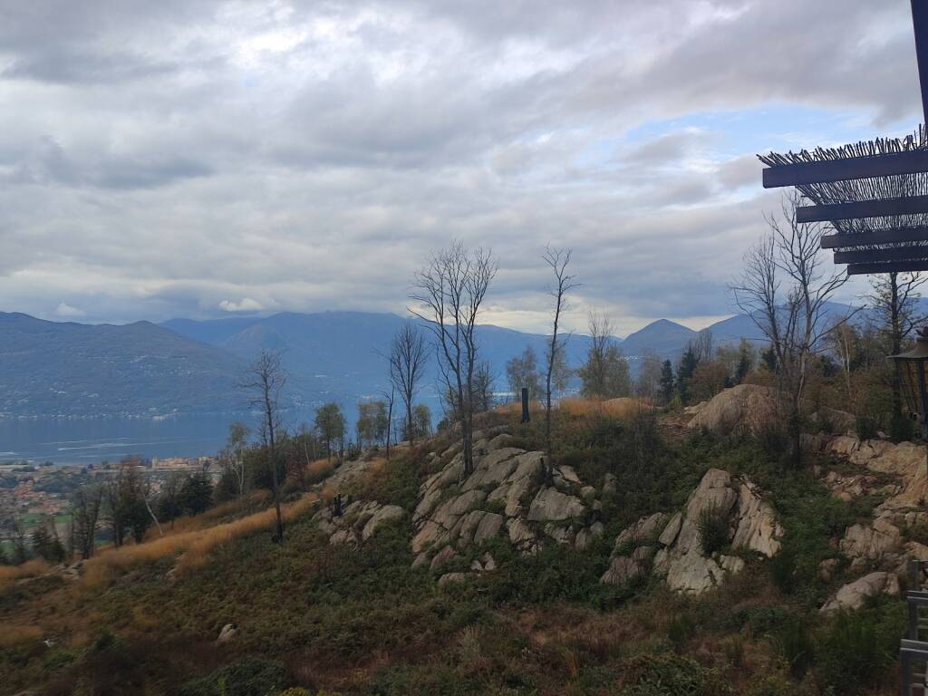 L'autunno nel bosco di Montegrino