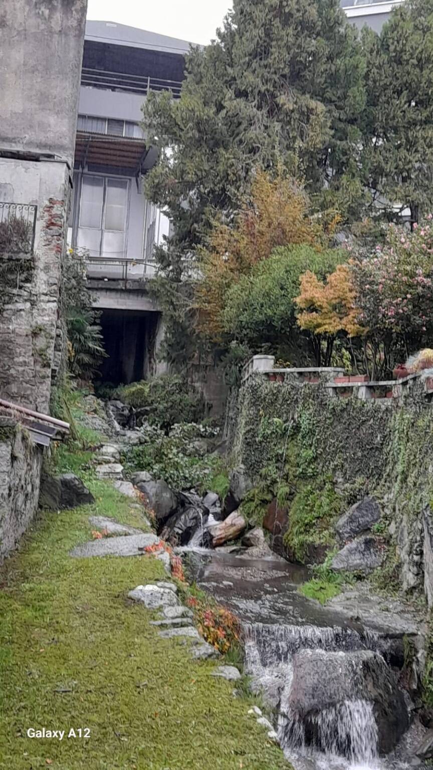La Sagra della transumanza di Nebbiuno 