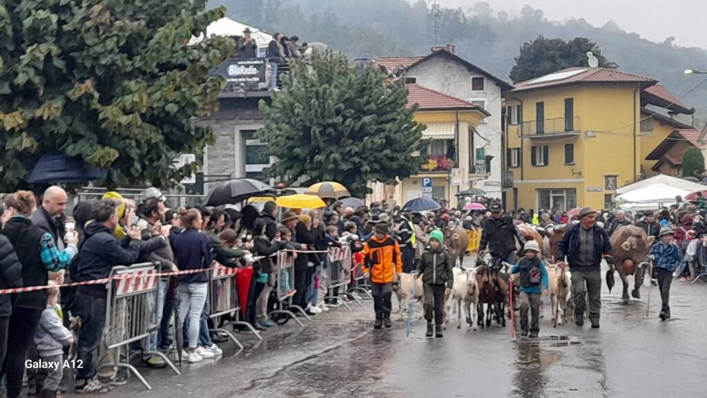 La Sagra della transumanza di Nebbiuno 
