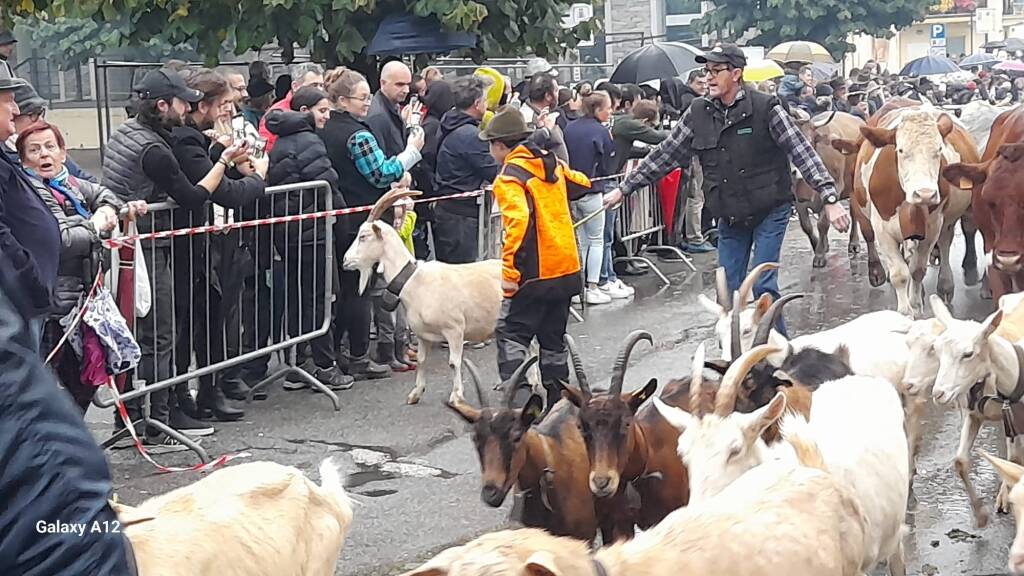 La Sagra della transumanza di Nebbiuno 