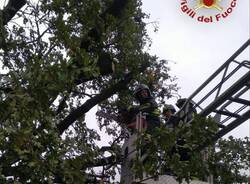 Maltempo in Lombardia, oltre 180 interventi dei vigili del fuoco in 12 ore