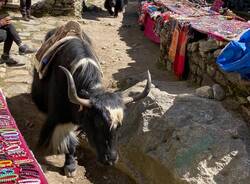 Nepal sesto giorno