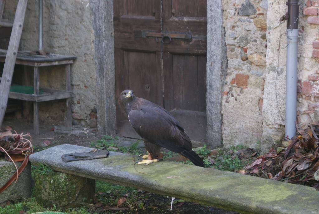 Ottobre caldanese