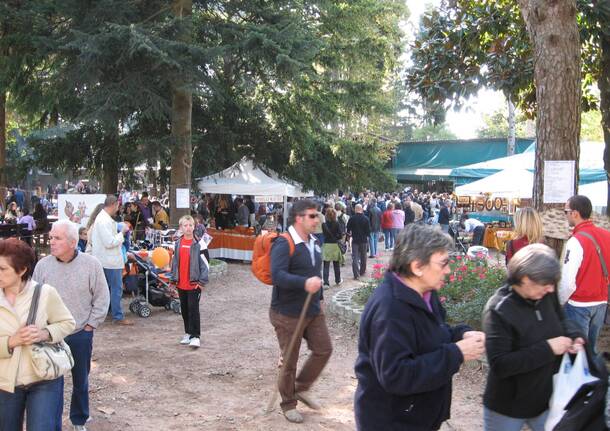 Castagne, funghi e mercatini: a Cocquio Trevisago ritorna l’Ottobre Caldanese