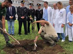 Piantata una quercia all’Ospedale di Legnano con il progetto “Una pianta per il futuro”