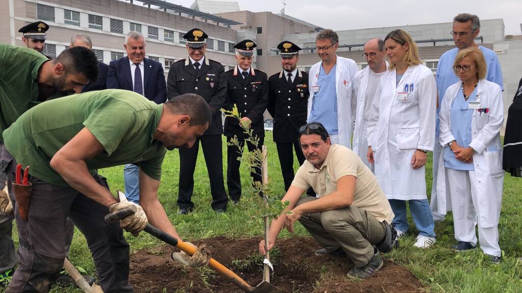 Piantata una quercia all’Ospedale di Legnano con il progetto “Una pianta per il futuro”