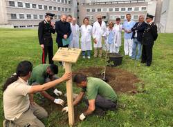 Piantata una quercia all’Ospedale di Legnano con il progetto “Una pianta per il futuro”