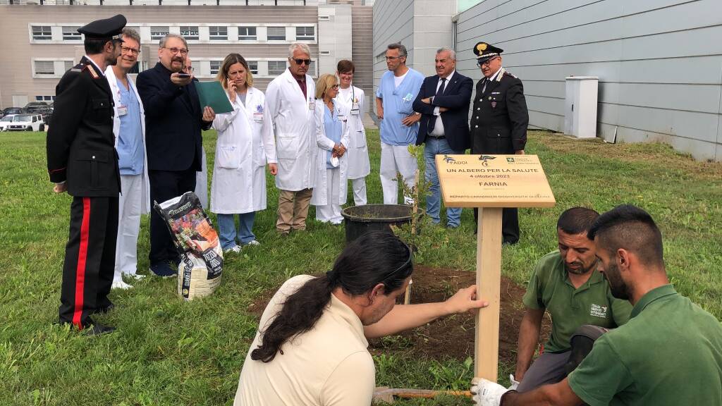 Piantata una quercia all’Ospedale di Legnano con il progetto “Una pianta per il futuro”