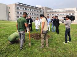Piantata una quercia all’Ospedale di Legnano con il progetto “Una pianta per il futuro”