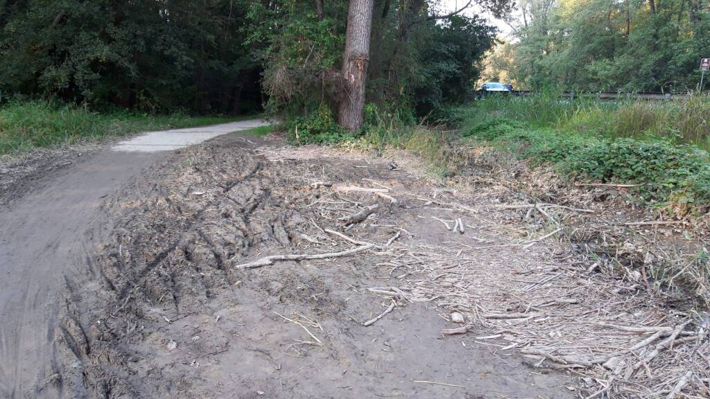 Pista ciclabile invasa dal fango