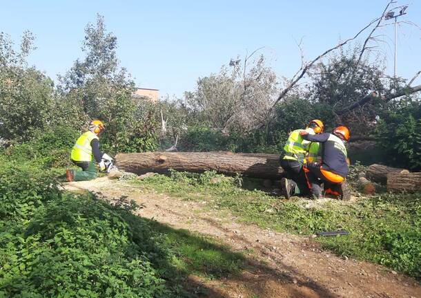 Protezione Civile Canegrate: corso di formazione riconosciuto da Regione Lombardia 