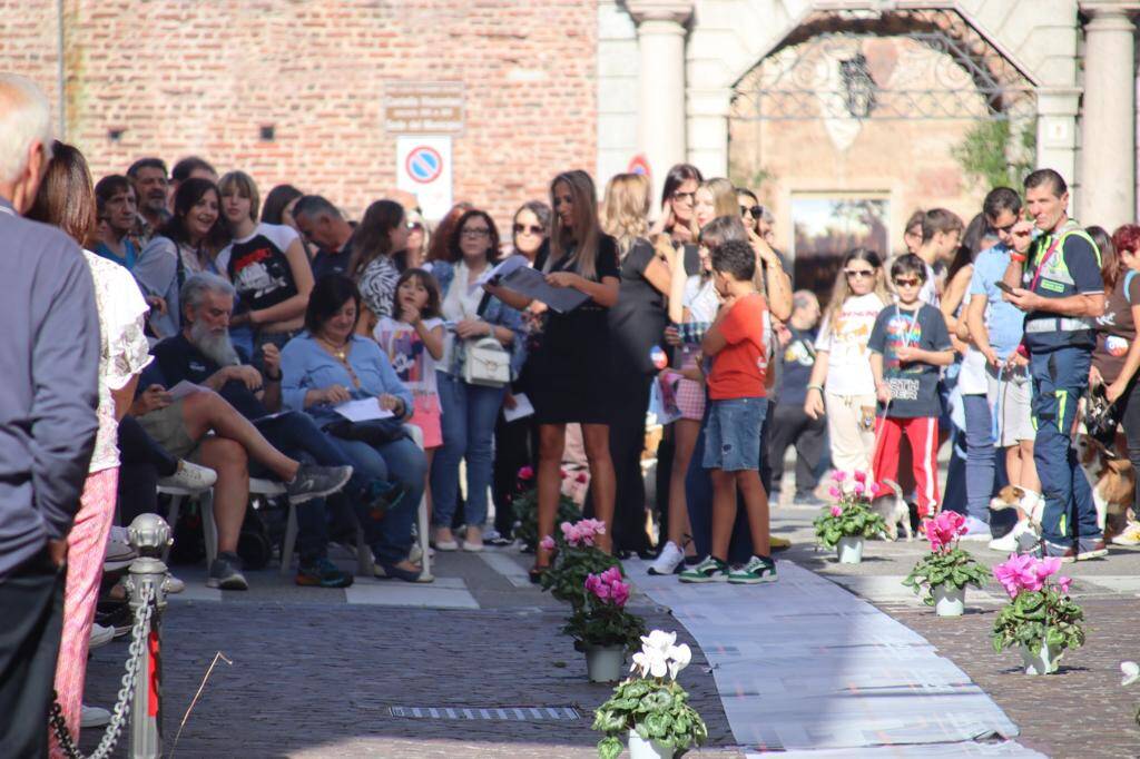 sagra della zucca fagnano olona