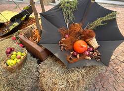 Sboccia l'autunno a Luino