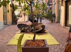 Sboccia l'autunno a Luino