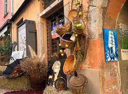 Sboccia l'autunno a Luino