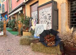 Sboccia l'autunno a Luino