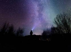 stelle