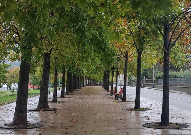 Una bellissima Luino vestita d’autunno