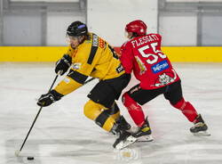 vignoli sanin mastini hockey