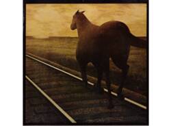 50 anni fa la musica