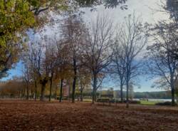 angera autunno foliage