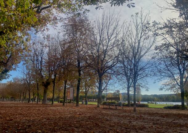 angera autunno foliage