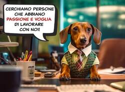 Annunci di lavoro