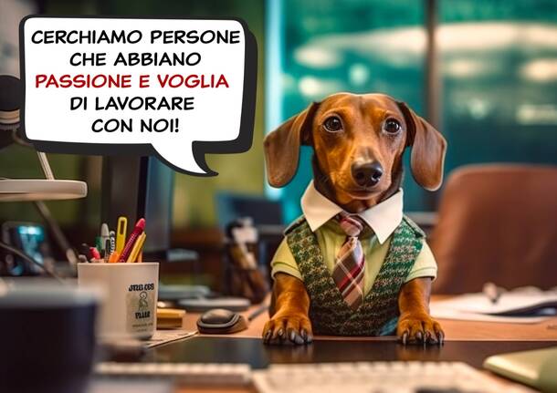 Annunci di lavoro