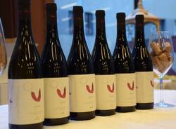 aspettando la Rassegna del Vino Varesino 2023
