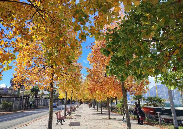 autunno lungolago luino