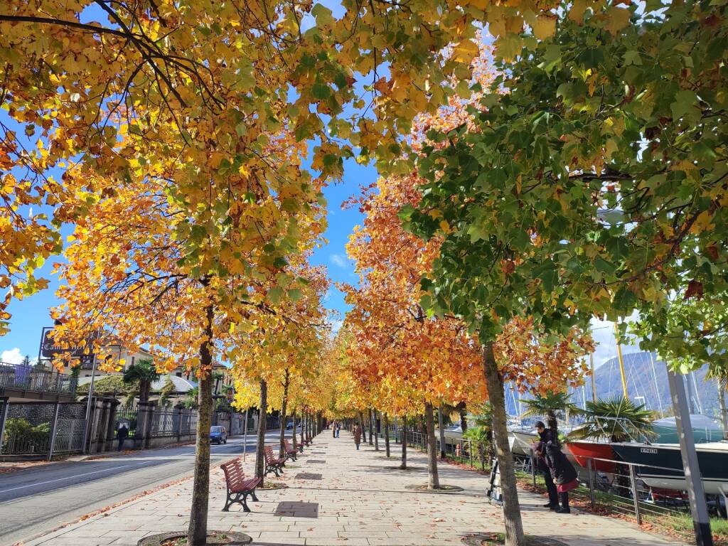 autunno lungolago luino