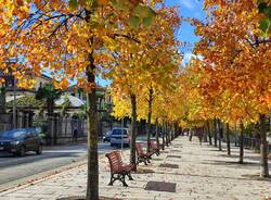 autunno lungolago luino