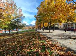 autunno lungolago luino