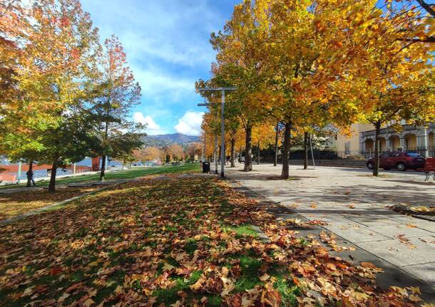 autunno lungolago luino