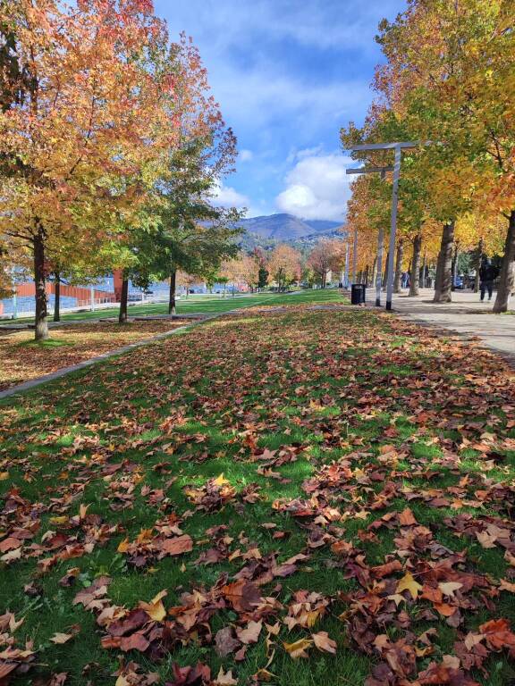 autunno lungolago luino