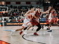 basket pallacanestro varese