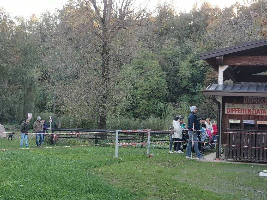 Castagnata Calimali 
