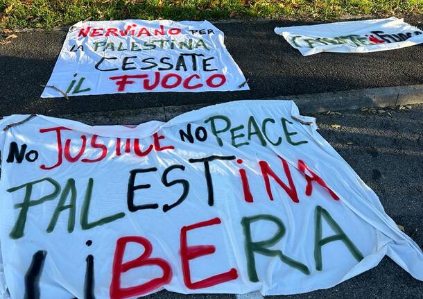 Corteo per la pace in Palestina a Nerviano