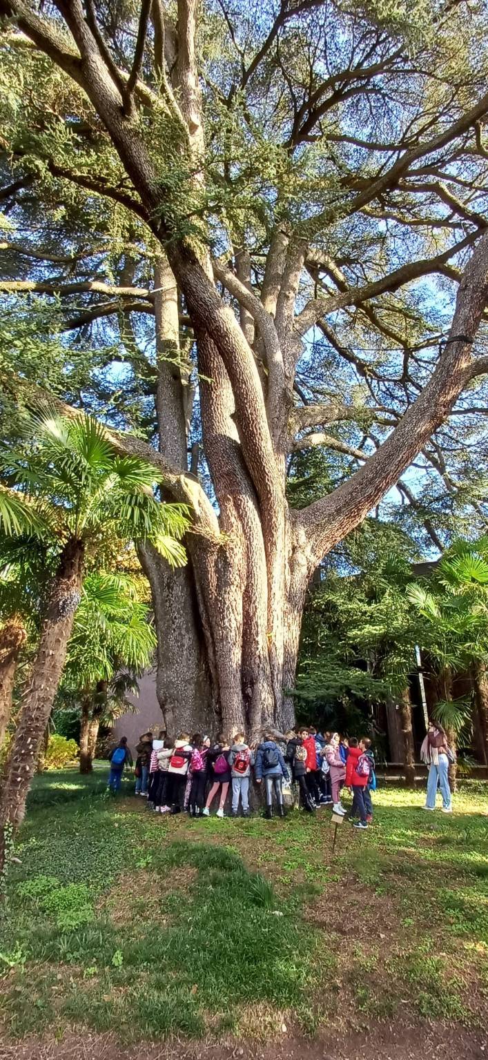 festa albero 2023 villa cagnola