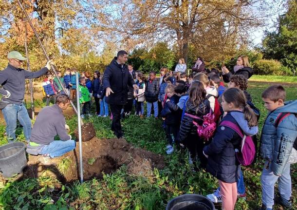 festa albero 2023 villa cagnola