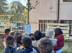 festa dell'albero 2023 cazzago